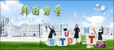 杭州地區(qū)韓國留學中介機構(gòu)選擇指南 如何甄選優(yōu)質(zhì)自費留學服務(wù)